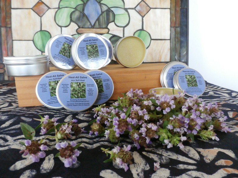 Heal-All/Self-Heal Herbal Salve Organic Prunella vulgaris Handmade Wildcrafted gallery