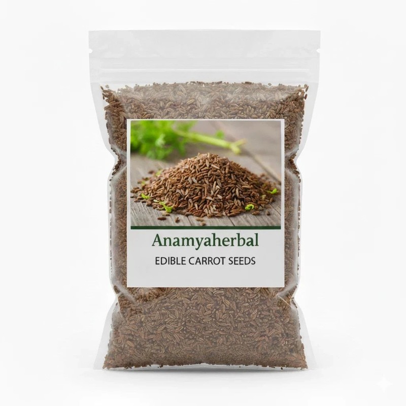 100% Natural Edible Carrot Seeds (Gajar K Beej) Fresh Original Indian herbs