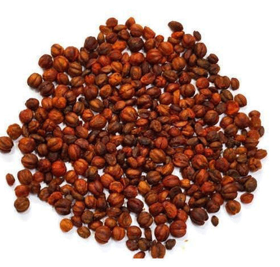 MALKANGNI CLIMBING STAFF TREE JYOTISHMATI CELASTRUS PANICULATUS SEEDS
