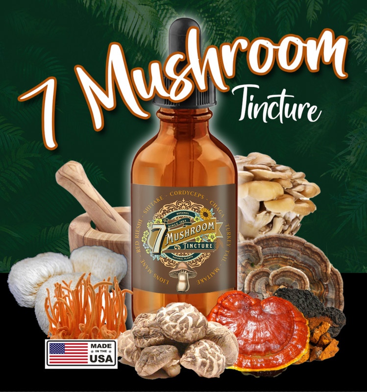 7 Mushroom Extract – Chaga Cordyceps Lions Mane Maitake Reishi Shitake Turkey T