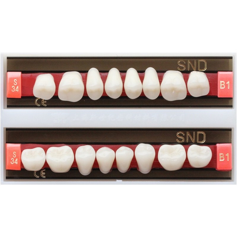 B1 Shade Dental Synthetic Acrylic Resin False Denture U/L Fake Teeth Whitening gallery