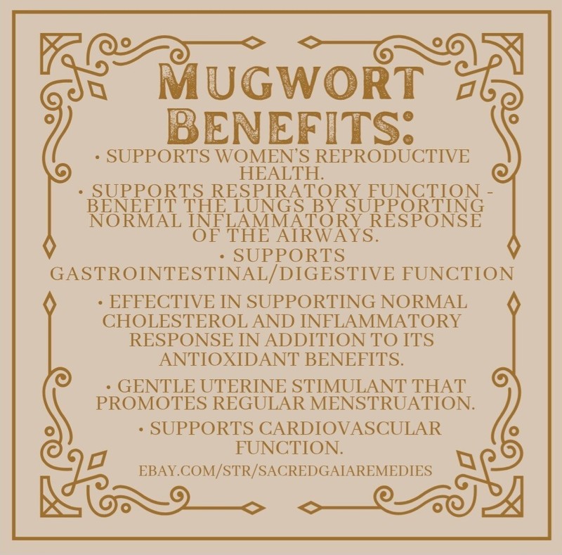 Mugwort Tincture, Herbal Extract, Double Extract, Dream Herbs, Relax, Digestion gallery