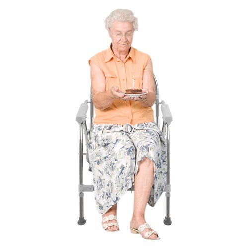 150kg/330.69 lbs Foldable Toilet Chair w/ Padded Seat Plate and Toilet Bucket gallery