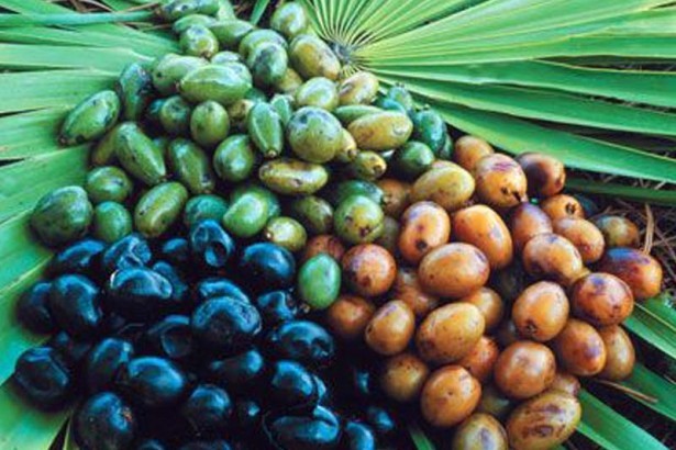 Ultimate Superfood Detox - PROSTATE SUPPORT - Natural Energy and Vitality 3Bot gallery