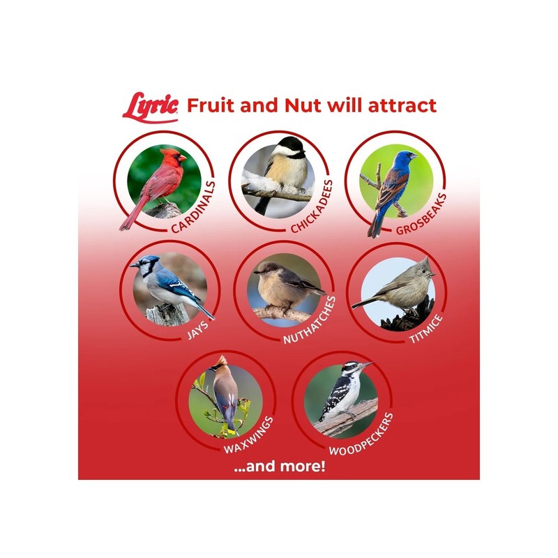 Lyric Fruit and Nut Wild Bird Seed, High Energy Wild Bird Food Mix, 20 lb. Bag gallery