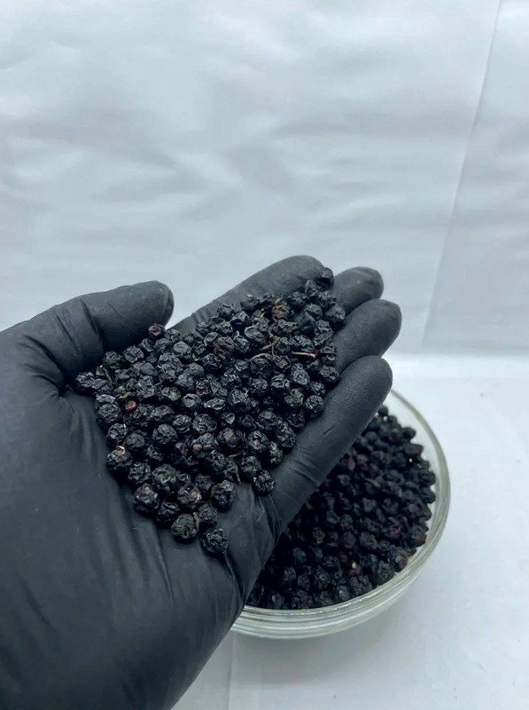 Organic Bilberry Fruit ( Vaccinium myrtillus ) Wildcrafted from Carpathian UA