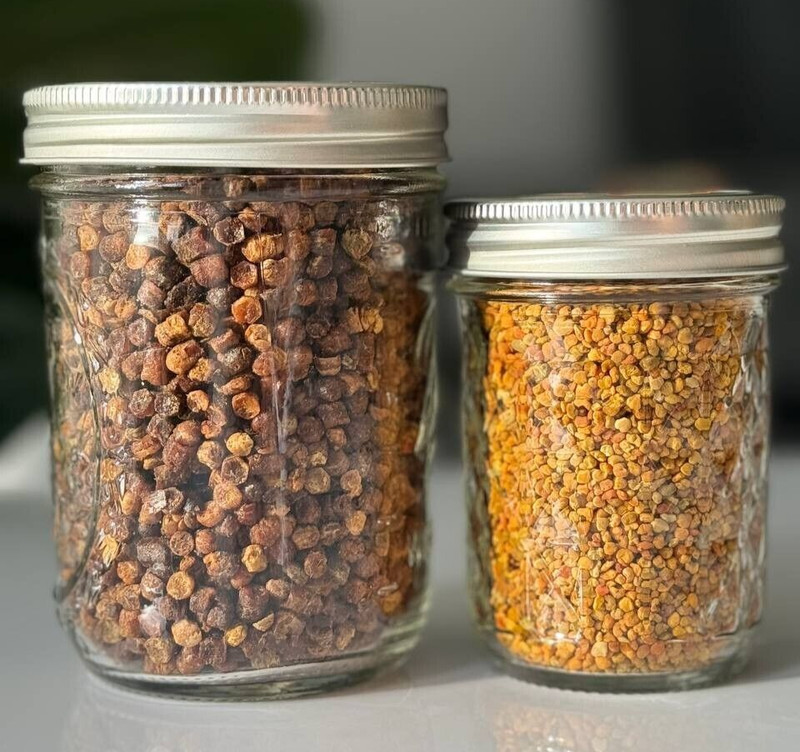 Bee Bread 270g + Bee Pollen 140g – Organic Immune Support for your family