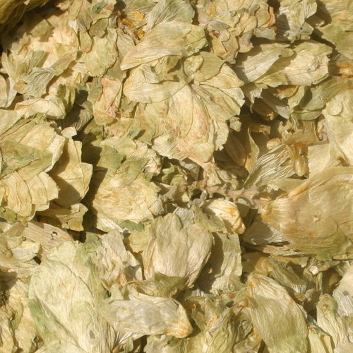 Hops Flowers BULK HERBS 4 oz.