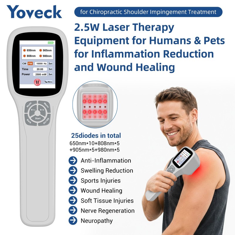 2500mW 25 Diodes Vet Human Laser Device 650 808 905 980nm Quick Wound Healing