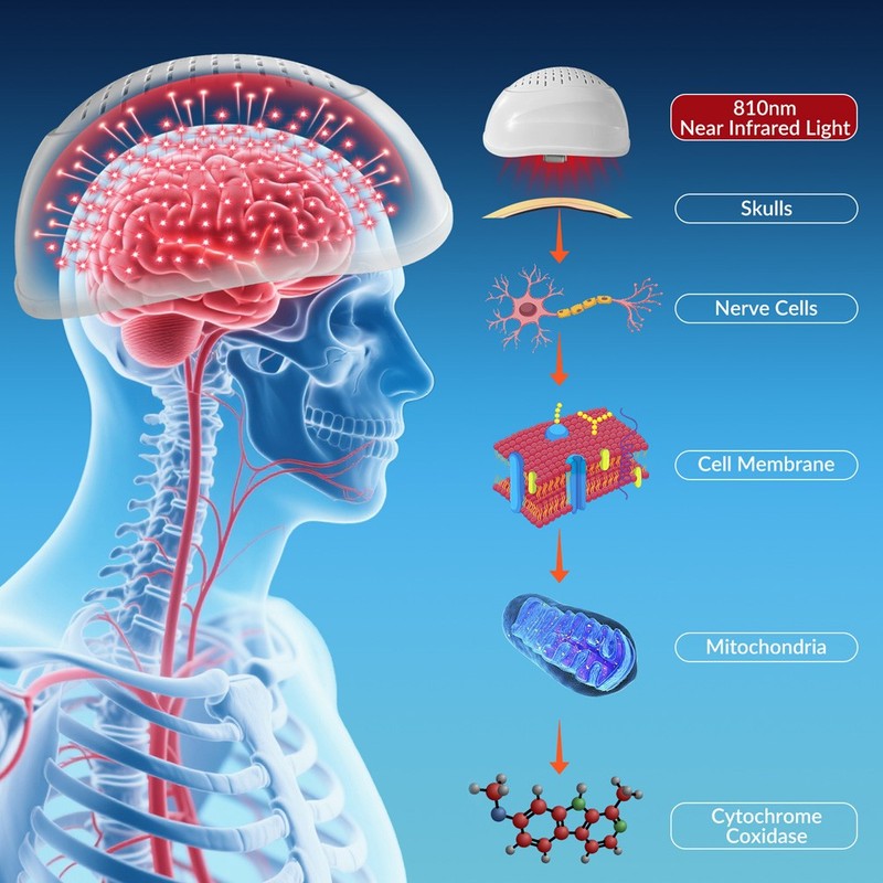 PBM Helmet 448pcs 810nm NIR Light Therapy Alzheimer Anxiety 4 Zones, Touchscreen gallery
