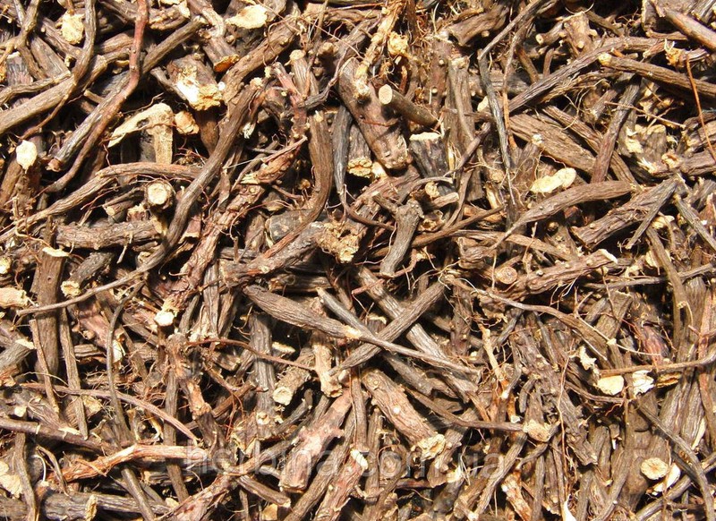 Potentilla Alba ( White Cinquefoil ) Root, ORGANIC from Carpathian mountain.