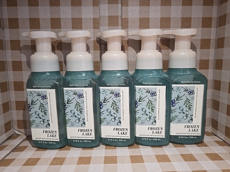 (5 PACK) BATH & BODY WORKS Frozen Lake GENTLE & CLEAN FOAMING HAND SOAP