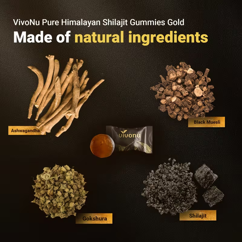 Pure Himalayan Shilajit Gummies No Added Sugar I 60 gummies High Potency gallery