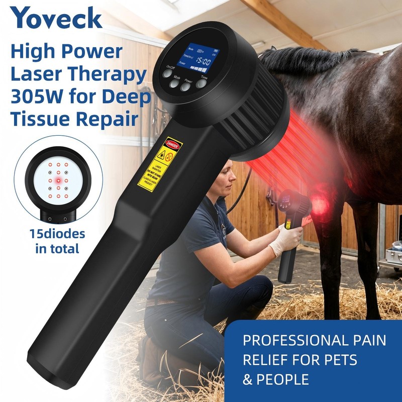 305W High Power Super Pulsed NIR Laser for Arthritis Pain Relief 905nm 808nm