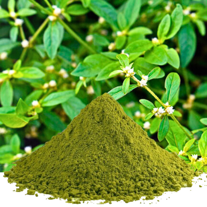 Alternanthera Sessilis Powder | Ponnanganni | Joyweed | Matsyakshi Natural Herb