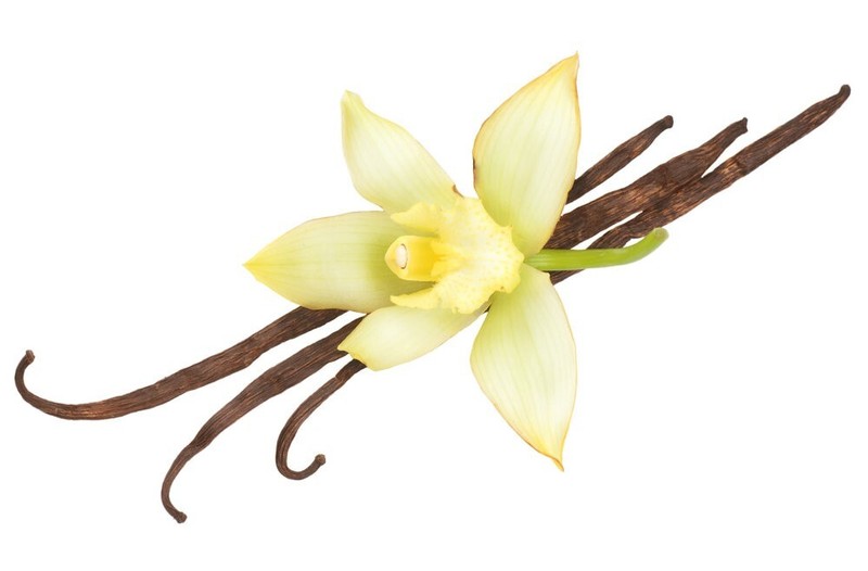 French Vanilla Massage Oil 8 fl oz (227 ml) gallery