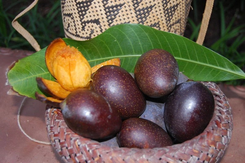 Very Rare Kosturi Mango | black mango | 4 seeds fresh | imported gallery