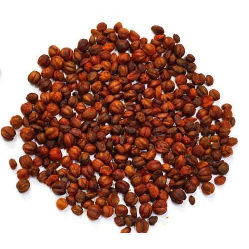 Malkangni-Jyotishmati-Celastrus Paniculatus Seeds -Staff tree Free Ship-100 gram