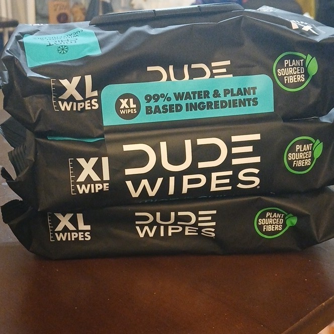 Dude Wipes XL Mint Chill Flushable Pre-Soaked Wipes, Mint & Eucalyptus, 48 Ct