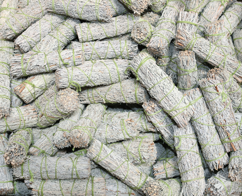 Blue Sage Smudge Sticks Bulk Lot at Wholesale (4″) for Cleansing