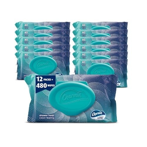Charmin Flushable Wipes, 480 Total Wipes (12 Packs of 40) 40 Count (Pack of 12)