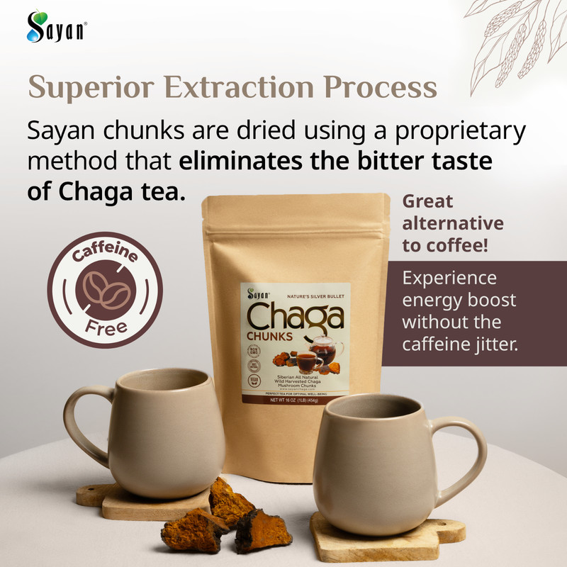 Siberian Chaga Mushroom Chunks Wild Harvested gallery