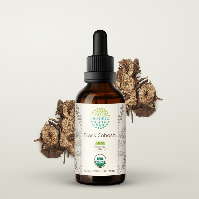 HerbEra Black Cohosh Alcohol-FREE Tincture, (Cimicifuga Racemosa)