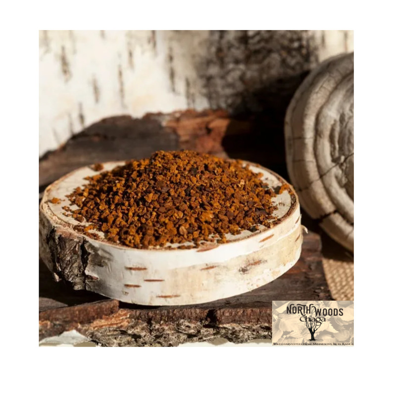 1 pound – Northern Minnesota CHAGA Ground – PREMIUM MUSHROOM Wild Harvested