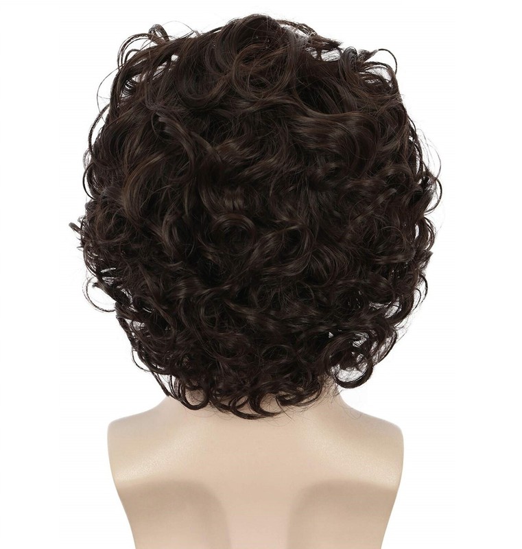 Men Brown Short Curly Wig Fluffy Synthetic Fiber Hair Wigs for Men Daily Wig US gallery