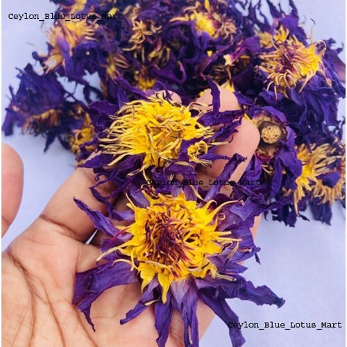 Blue Lotus Flowers Nymphaea Caerulea Lucid Dream Tea 2KG+ Free 3-5 Days Delivery