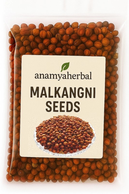 MALKANGNI CLIMBING STAFF TREE JYOTISHMATI CELASTRUS PANICULATUS SEEDS