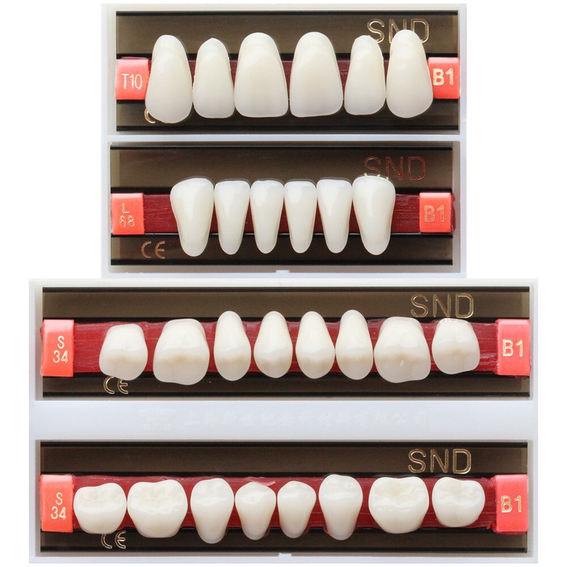 B1 Shade Dental Synthetic Acrylic Resin False Denture U/L Fake Teeth Whitening