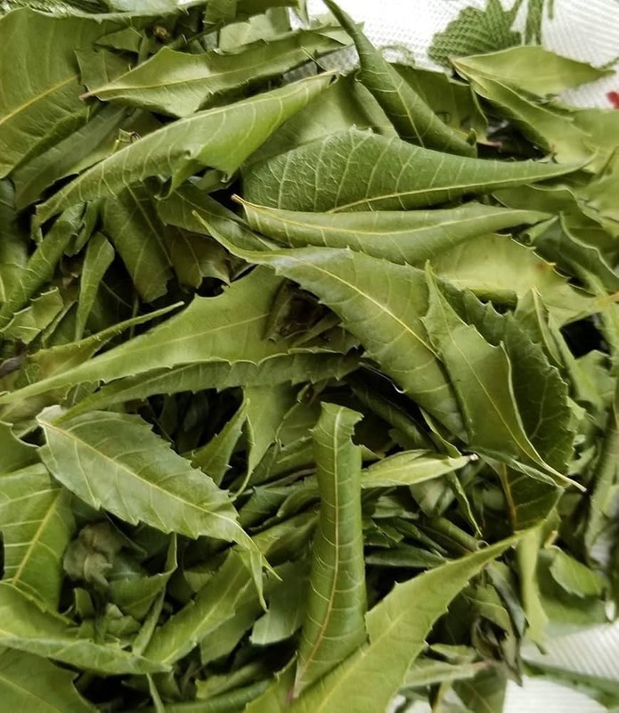 Dry Neem Leaf , Neem Leaf For Better Skin , Herbal Use , Food Grade