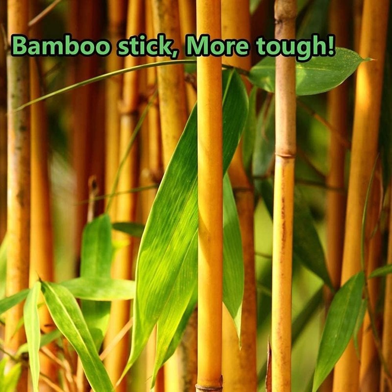 2000pcs Precision Tip Cotton Swabs for Makeup, Bamboo Sticks and Double Pointed gallery