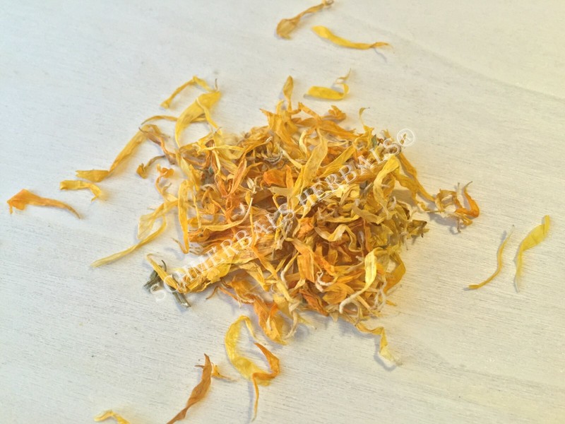 Calendula, Calendula officinalis, 1 oz Petals Free Shipping ~ Schmerbals Herbals gallery
