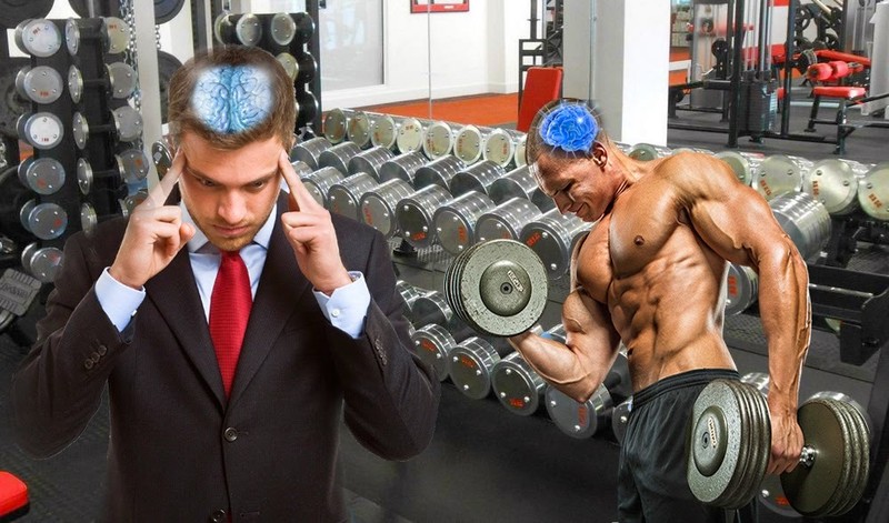 Bodybuilding Supplements - Elk Velvet Antler Complex 550mg - Zinc Extract 2B gallery