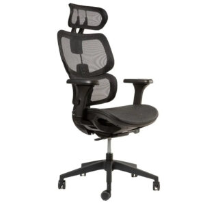 Silla ERGOPLUS Negra