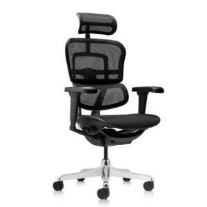 Silla ErgoHuman Ultra Malla