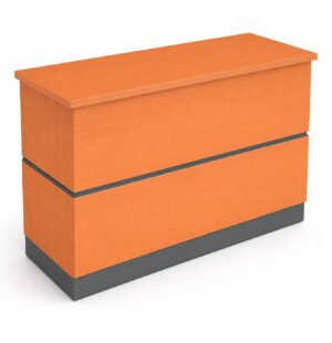 MUEBLE RECEPCION