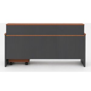 Mueble Recepcionista